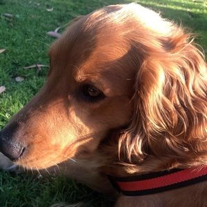 Meet your Posher, Jaimie